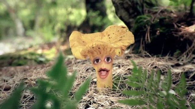 TV3 - Caçadors de bolets - Els bolets prenen vida a Caçadors de bolets