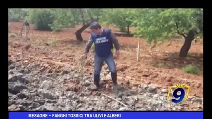 Mesagne | Fanghi tossici tra ulivi ed alberi