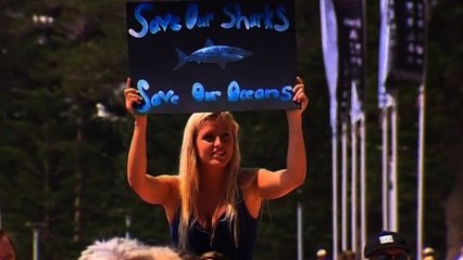 Protesters slam shark culling programme