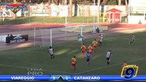 Viareggio - Catanzaro 1-1 | Highlights and Goals | Prima Div. Gir.B 18^ Giornata 5/01/2014