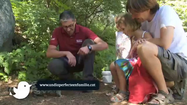 TV3 - Un Dia Perfecte en Família per Catalunya - Un Dia Perfecte en Família per Catalunya - capí