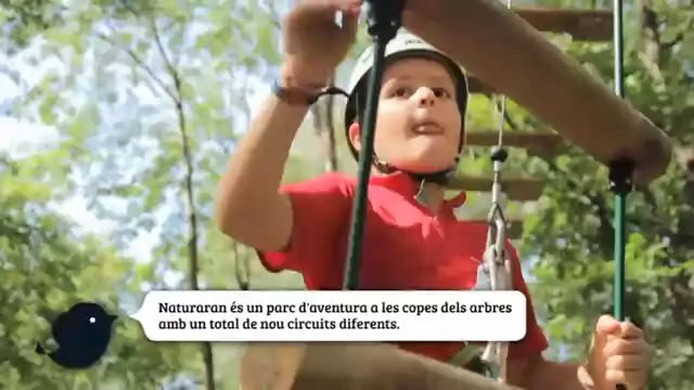 TV3 - Un Dia Perfecte en Família per Catalunya - Un Dia Perfecte en Família per Catalunya - capí