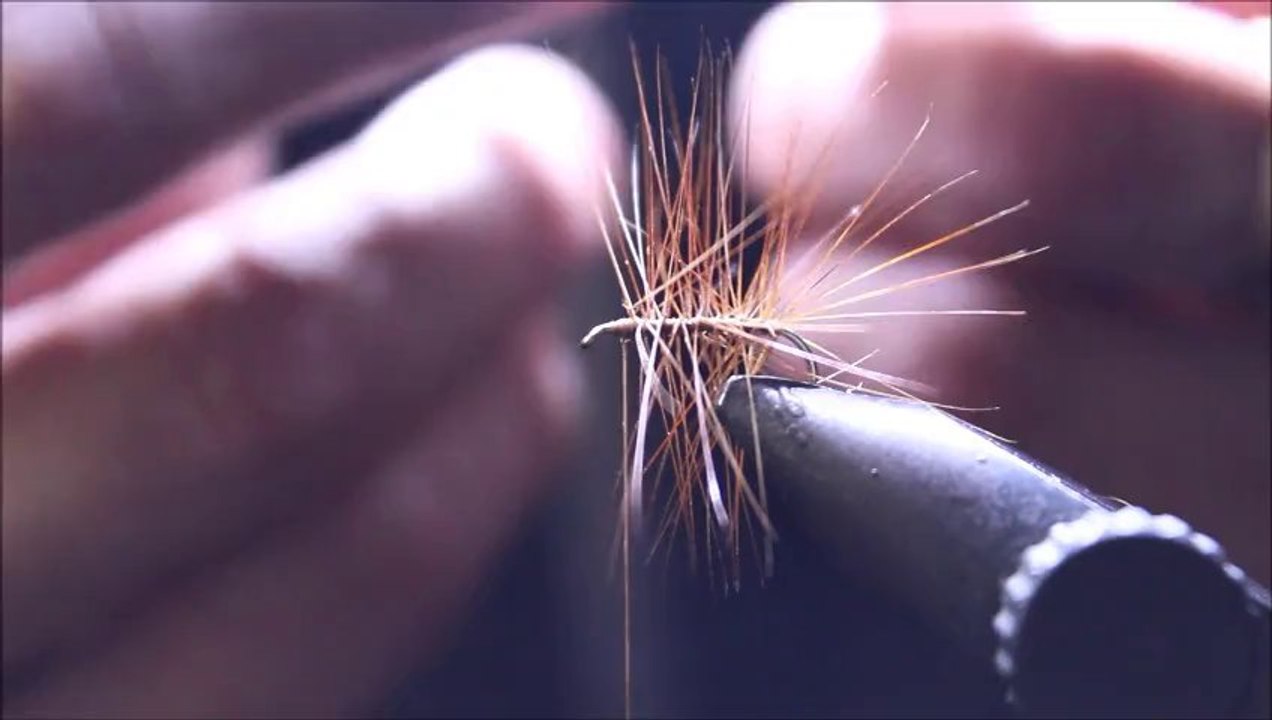 sedge roux