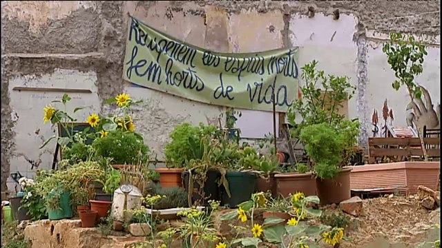 TV3 - Telenotícies migdia - Horts urbans autogestionats