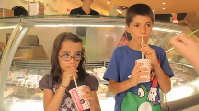 TV3 - Un Dia Perfecte en Família per Catalunya - Un Dia Perfecte en Família per Catalunya - capí