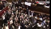 TG 31.01.14 Il Parlamento si trasforma in arena, è caos tra spintoni e parolacce