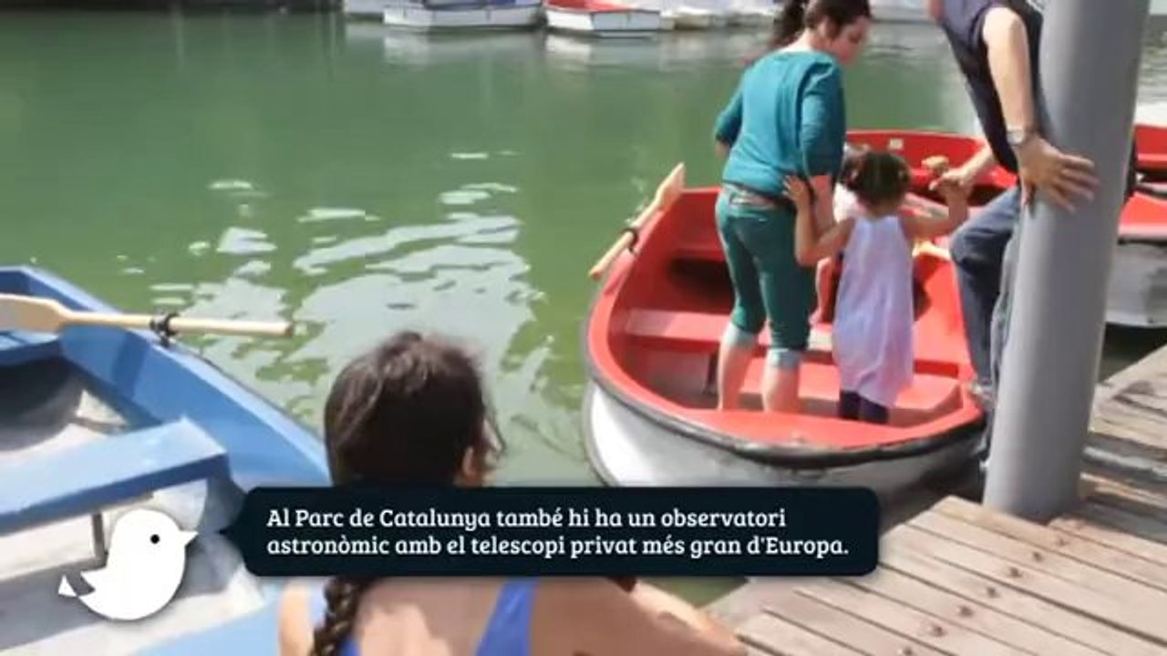 TV3 - Un Dia Perfecte en Família per Catalunya - Un Dia Perfecte en Família per Catalunya - capí