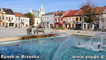 Brzesko w Małopolsce - krótki przewodnik filmowy