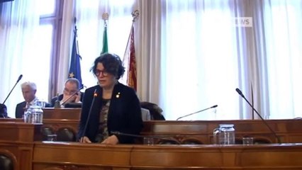 TENSIONI IN CONSIGLIO COMUNALE