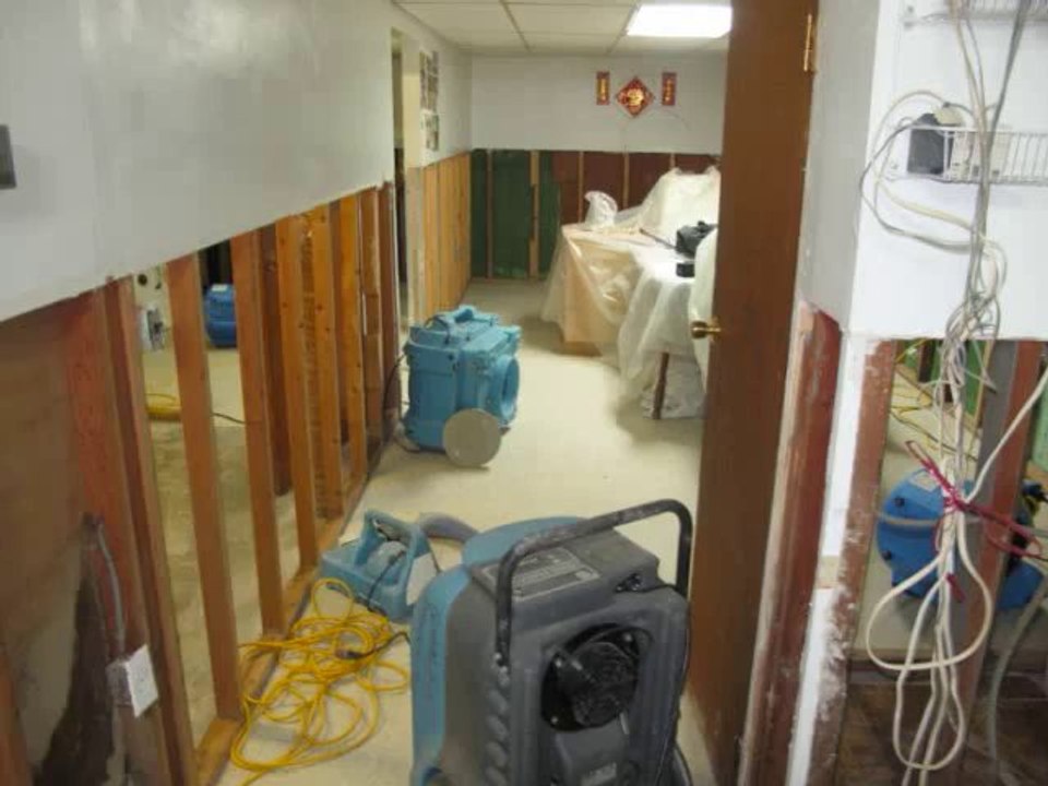 Mold Removal New Jersey NJ, NYC. Call Dryontime at 1-800-973-1598 LICENSED & INSURED 24 Hrs Service.