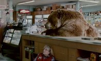 Un ours saccage une épicerie !! Pub Chobani Super Bowl 2014