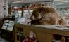 Bear Game Day Ad With Bob Dylan's Voice!! Super Bowl XLVIII Chobani Yogurt Commercial