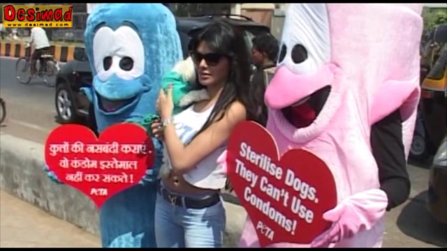 Sherlyn Chopra NUDE Kamasutra 3D PICTURES LEAKED !!!