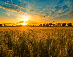 TERRE E TRADIZIONI - La Migliore Italia in Tavola
