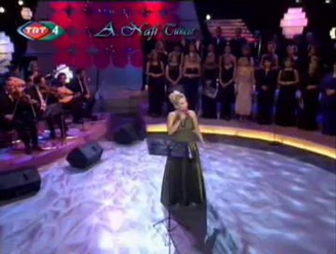 Eliz AVAROĞLU-Kapıldım Gidiyorum Bahtımın Rüzgârına