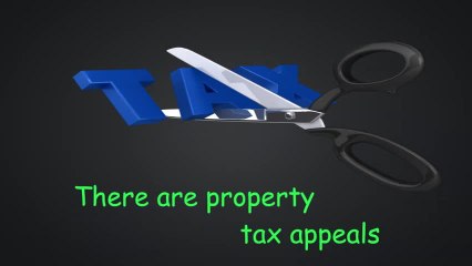 Fulton County Property Tax