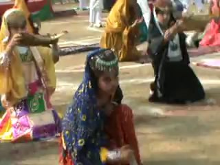 HAVELI LAKHA ARY NEWS DPS PET SHOW