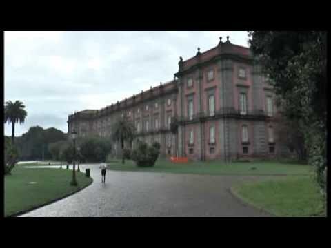 Napoli - Crolla cornicione a Capodimonte (22.01.14)