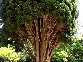 SPIELE DER GÖTTER Fünfter Akt Die Richtige Bildung 1. Teil