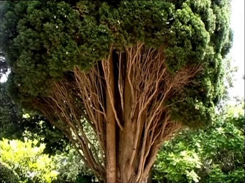 SPIELE DER GÖTTER Fünfter Akt Die Richtige Bildung 1. Teil