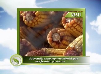 Vesti - Subvencije za poljoprivrednike bi ipak mogle ostati po starom