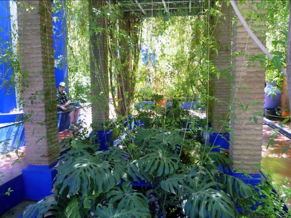 Le jardin Majorelle à Marrakech HD