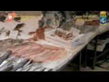 Gricignano (CE) - Prodotti ittici mischiati con cosmetici: sequestrata azienda (19.12.13)