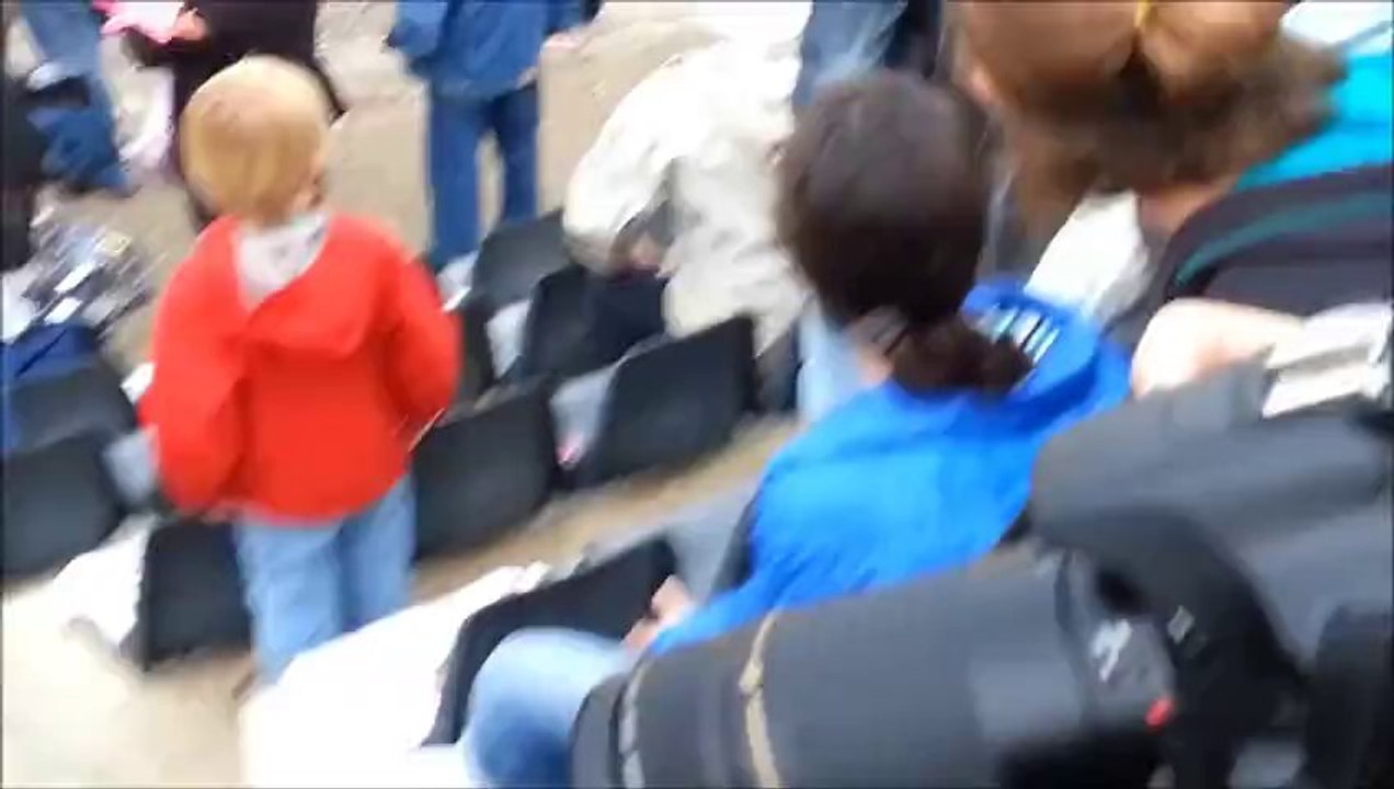 Team RS Show (World Series by Renault au Circuit Paul Ricard) - TTWorld