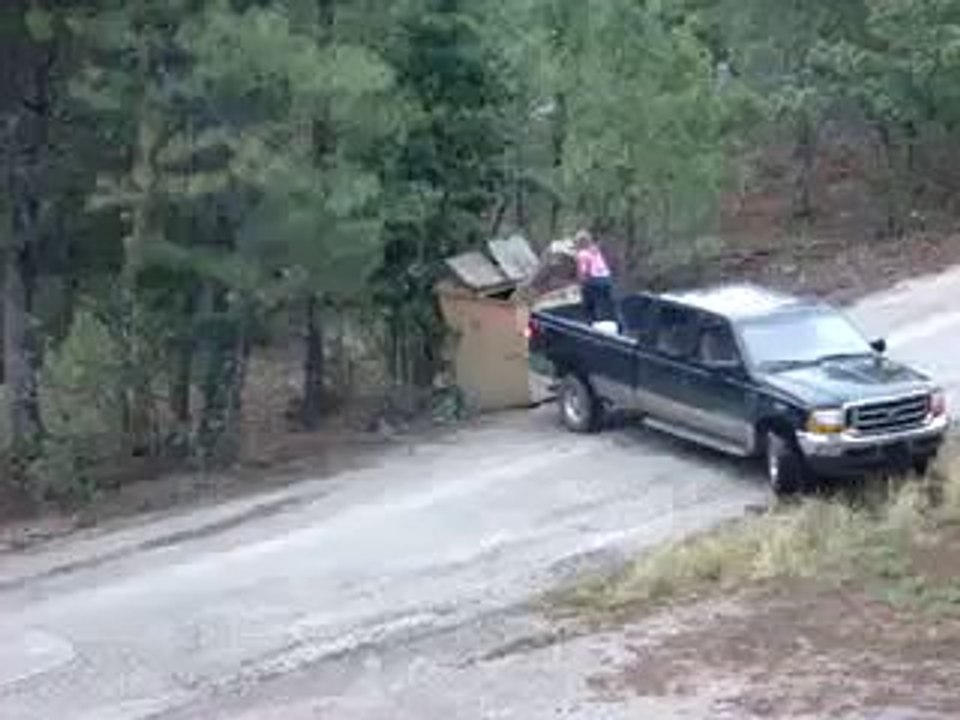 This Video Will Absolutely Make Your Day