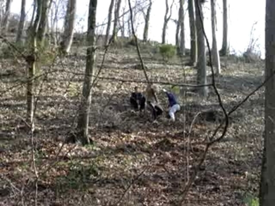 Chute de Coco