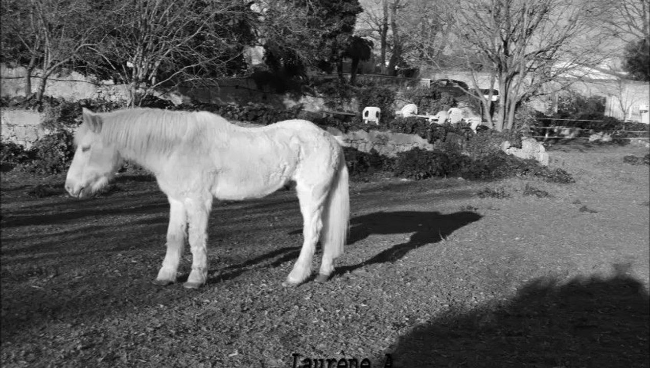 Hommage pour cette nouvelle étoile :/