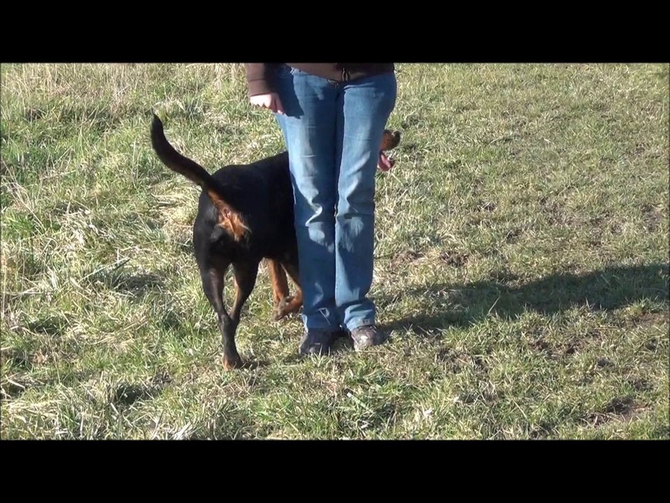 cayenne obé rythmée