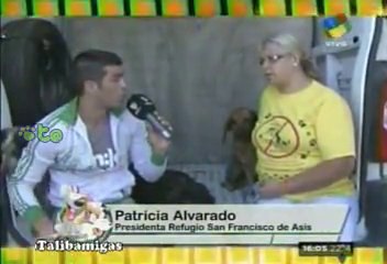 Cris U y Patricia trasladan a Refuasis los perritos del predio de San Lorenzo