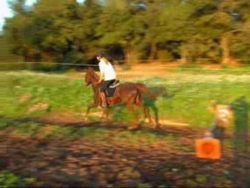 saut