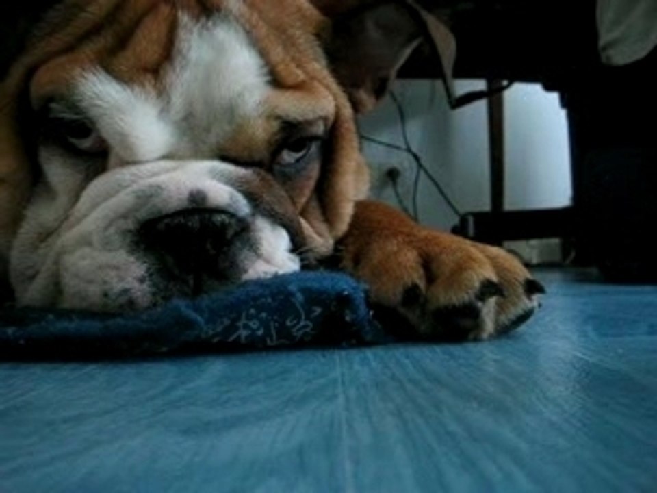 vos paupières sont lourdes...