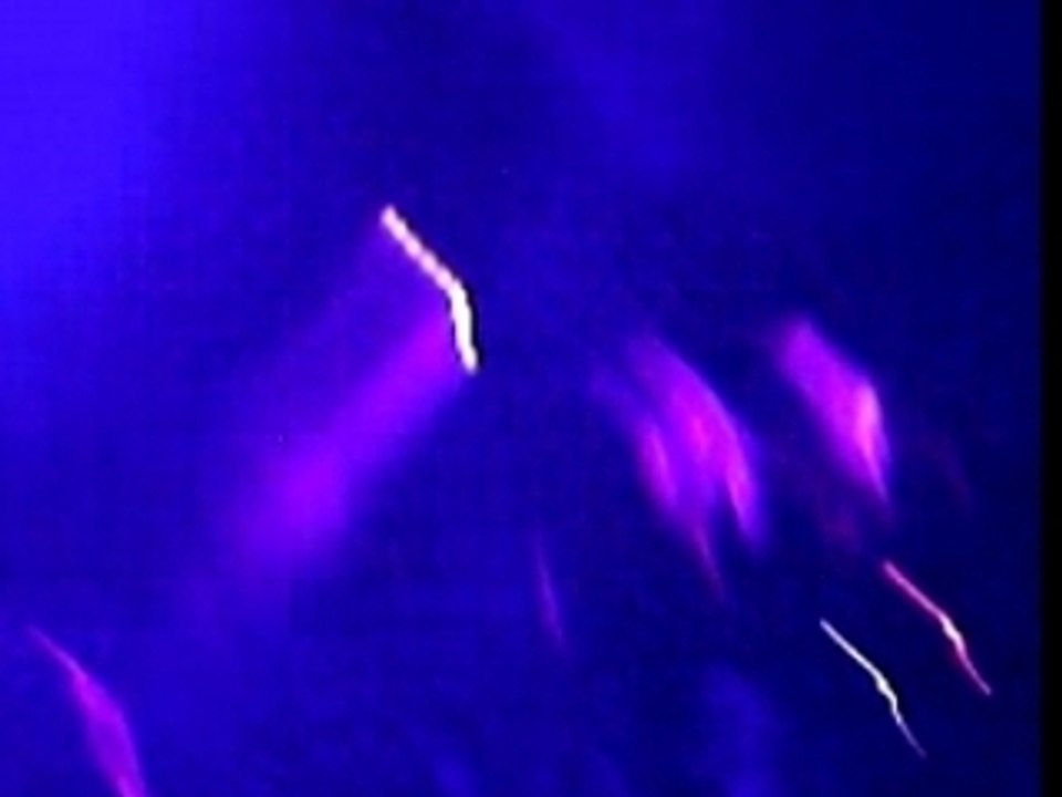 Danceuse dune
