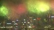 Hong Kong rings in Year of the Horse with fireworks