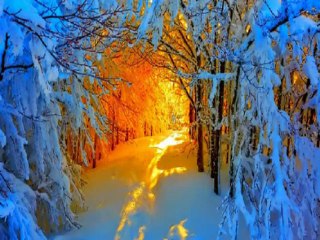 Top Music Videos of All Time 🎶