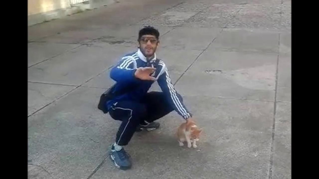 Ils Tuent 9 Chatons Devant Les Yeux De La Mère Qu'il Encule !!!!!!!