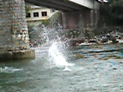 saut dun pont
