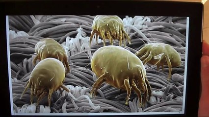 You Don't Sleep Alone!