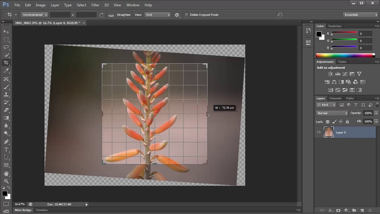 Photoshop CS6: The All New Crop Tool - Tutorial