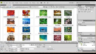 Dreamweaver: Create a Web Photo Album/Gallery - Tutorial