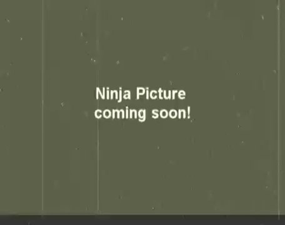 Lego Ninja Battle