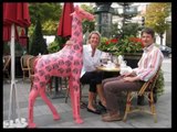 Les dernières girafes d'Yves Henry