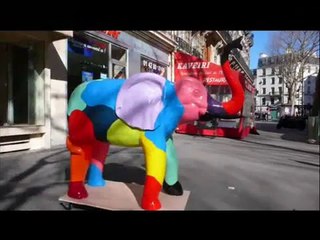 Les Eléphants d'Yves Henry