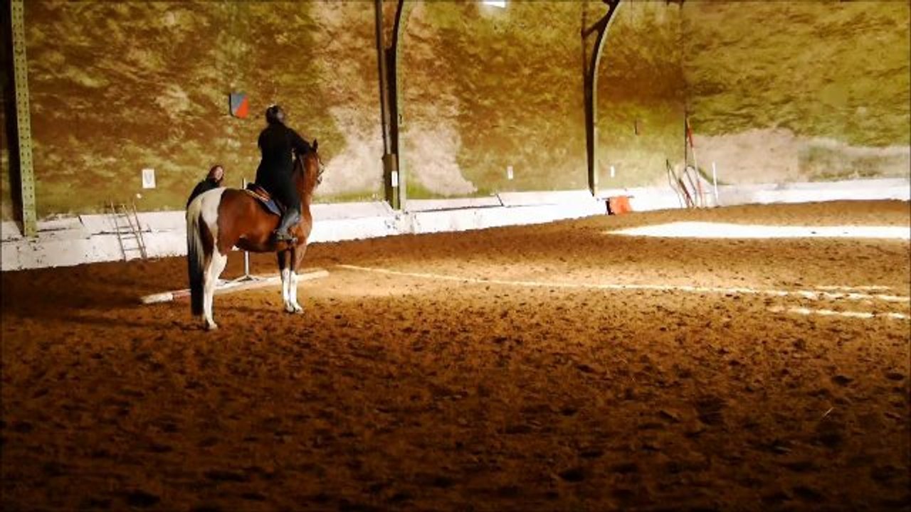 Cours avec Julie Lavergne, Extension d'encolure et Methode Pradier
