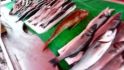 Temel'le Paşabahçe 01022014-R