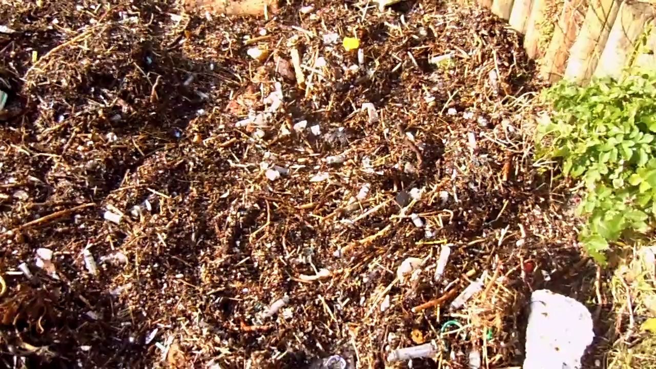 Nouvel arrivage de seringues à Groix -  2 février 2014