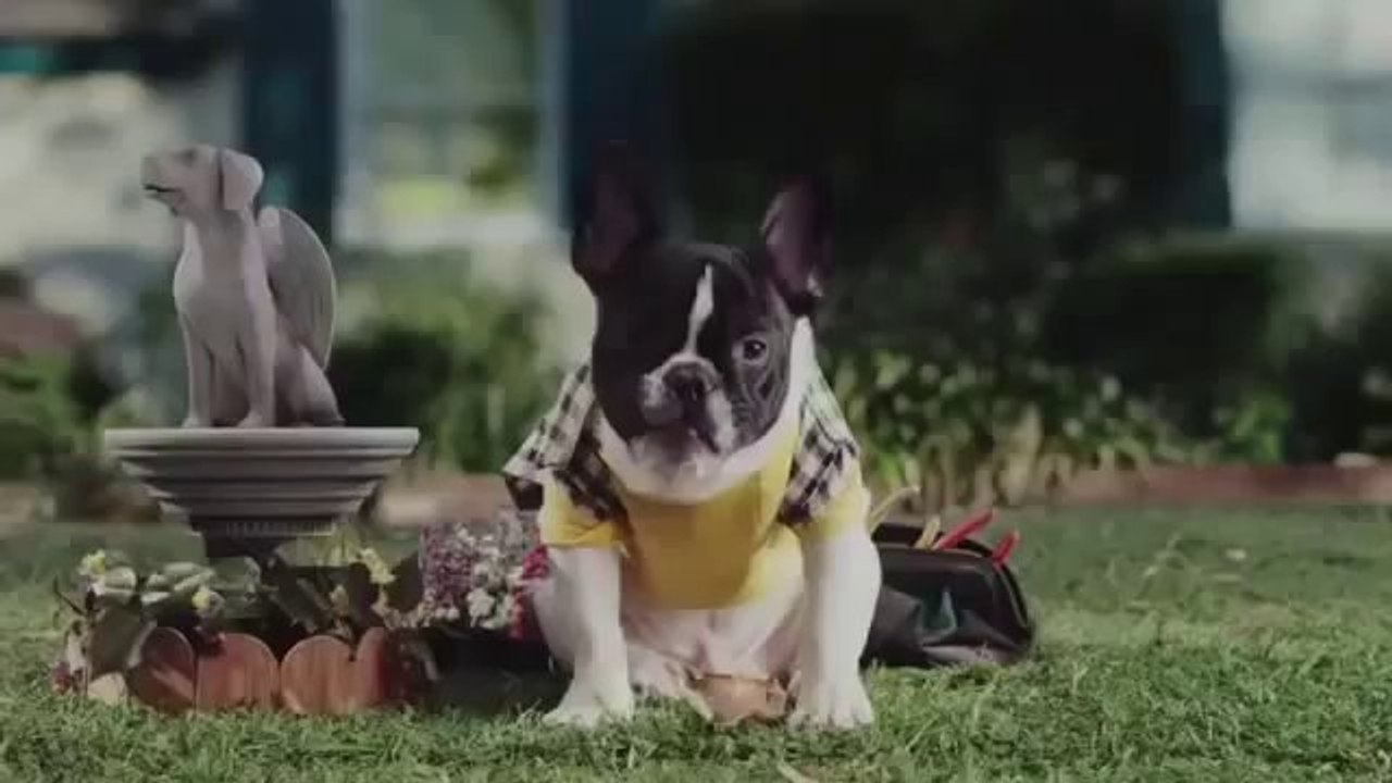 Pub Super Bowl 2014 - CarMax